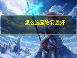 怎么选宠物狗最好