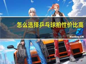 怎么选择乒乓球拍性价比高