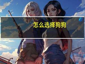 怎么选择狗狗