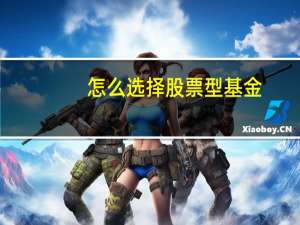 怎么选择股票型基金
