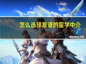 怎么选择靠谱的留学中介