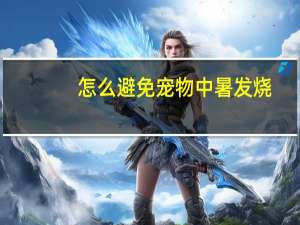 怎么避免宠物中暑发烧