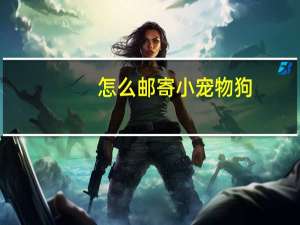 怎么邮寄小宠物狗