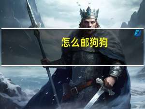 怎么邮狗狗