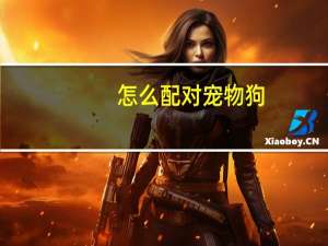 怎么配对宠物狗