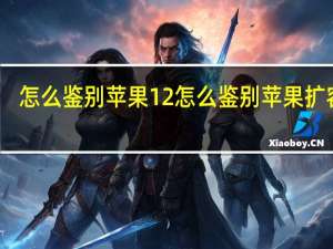 怎么鉴别苹果12 怎么鉴别苹果扩容机