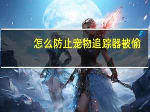 怎么防止宠物追踪器被偷