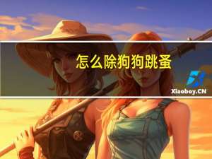 怎么除狗狗跳蚤