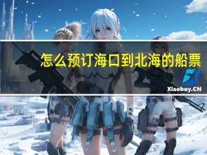 怎么预订海口到北海的船票