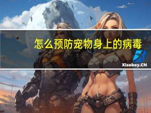 怎么预防宠物身上的病毒