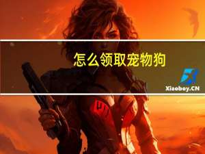 怎么领取宠物狗