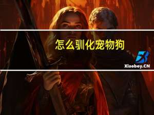 怎么驯化宠物狗