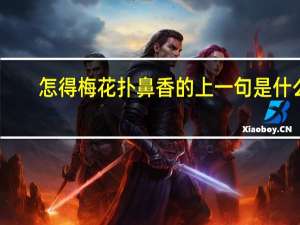 怎得梅花扑鼻香的上一句是什么