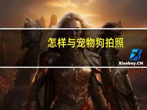 怎样与宠物狗拍照