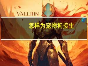 怎样为宠物狗接生