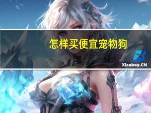 怎样买便宜宠物狗
