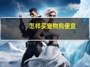 怎样买宠物狗便宜