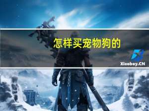 怎样买宠物狗的