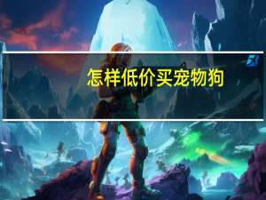 怎样低价买宠物狗