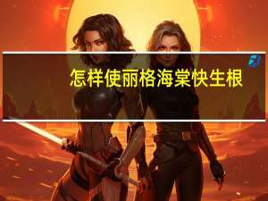 怎样使丽格海棠快生根