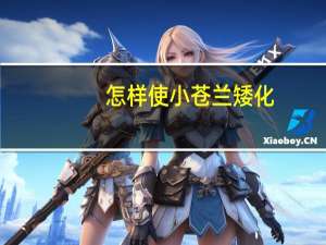 怎样使小苍兰矮化