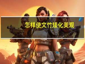 怎样使文竹矮化美观