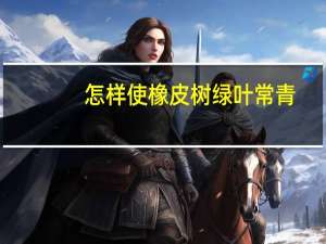 怎样使橡皮树绿叶常青