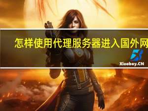怎样使用代理服务器进入国外网站（怎样使用代理服务器）