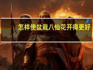 怎样使盆栽八仙花开得更好