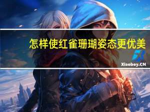 怎样使红雀珊瑚姿态更优美