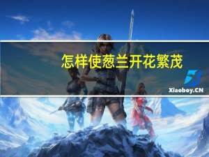 怎样使葱兰开花繁茂