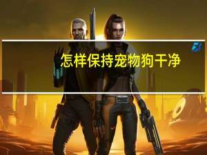 怎样保持宠物狗干净