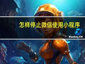 怎样停止微信使用小程序