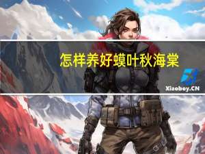 怎样养好蟆叶秋海棠