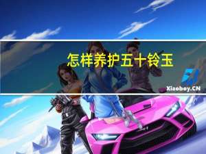 怎样养护五十铃玉：注意通风