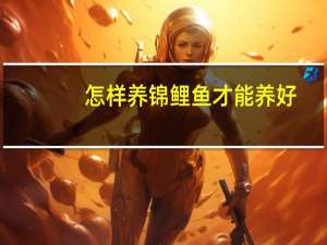 怎样养锦鲤鱼才能养好