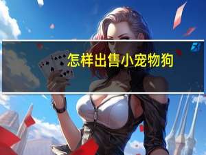 怎样出售小宠物狗