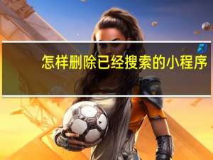 怎样删除已经搜索的小程序