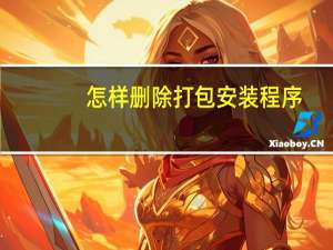 怎样删除打包安装程序