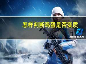 怎样判断鸡蛋是否变质