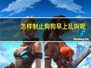 怎样制止狗狗早上乱叫呢