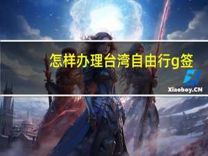 怎样办理台湾自由行g签