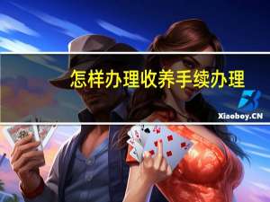 怎样办理收养手续办理