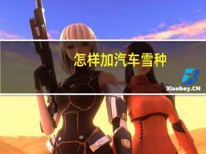 怎样加汽车雪种