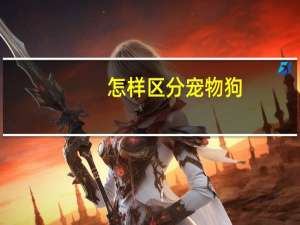 怎样区分宠物狗