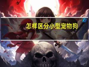 怎样区分小型宠物狗