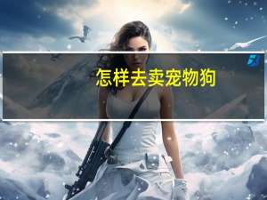 怎样去卖宠物狗
