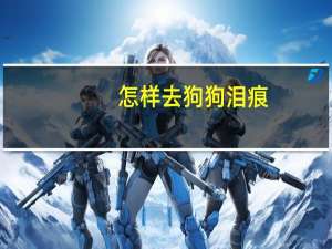 怎样去狗狗泪痕
