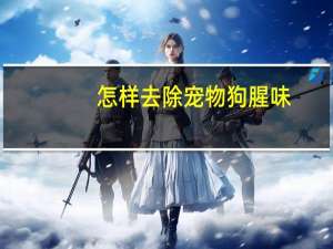 怎样去除宠物狗腥味