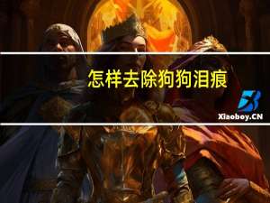 怎样去除狗狗泪痕